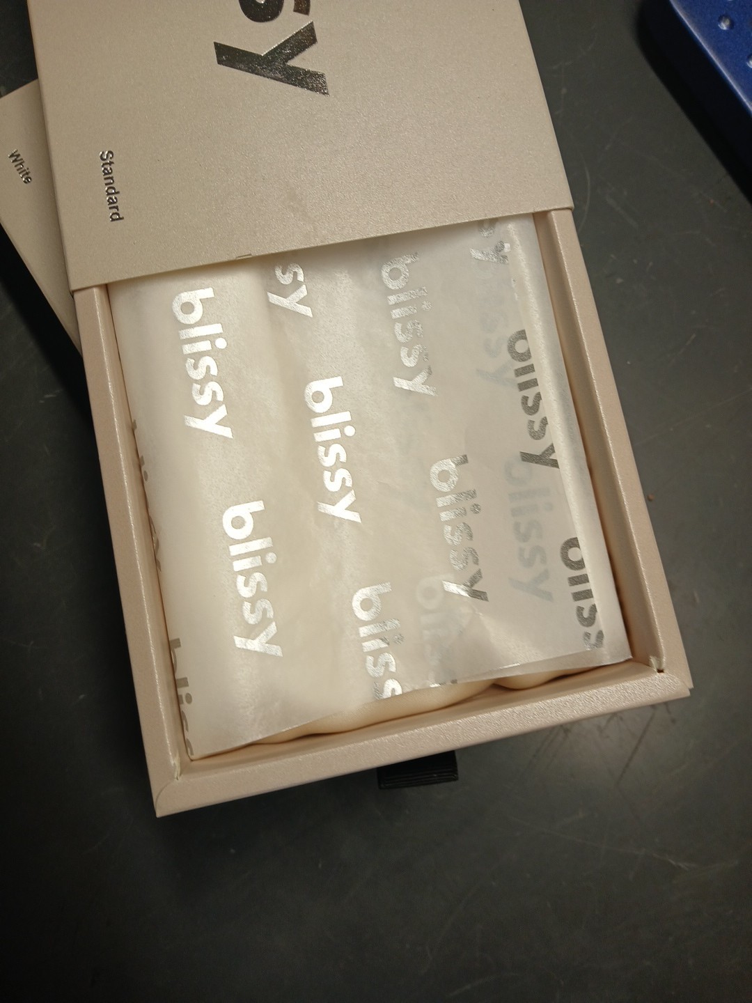 2x BLISSY MOMME 22 Standard WHITE MULBERRY SILK PILLOWCASES New In Box Lot Of 2