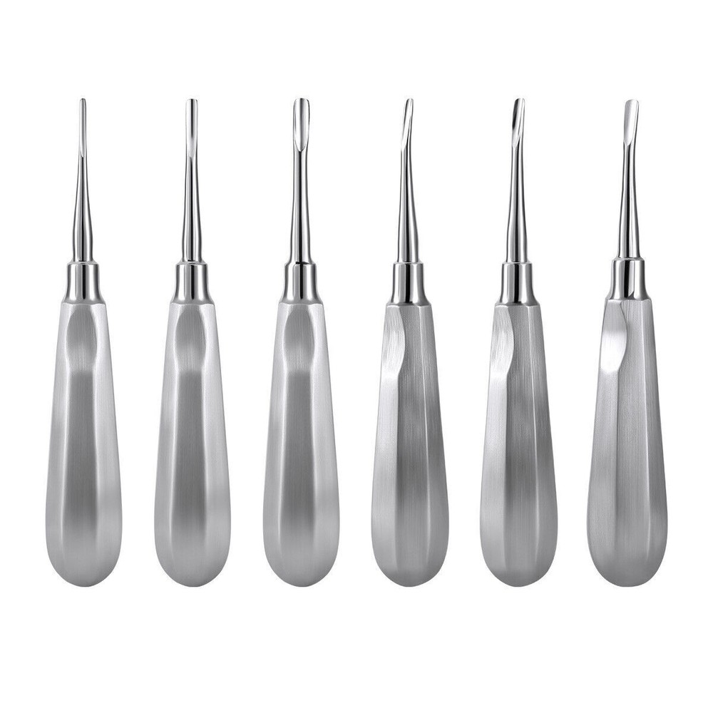 6 Pcs Dental Tooth Extraction Root Elevators #1-6 Set Luxating Luxation Elevator