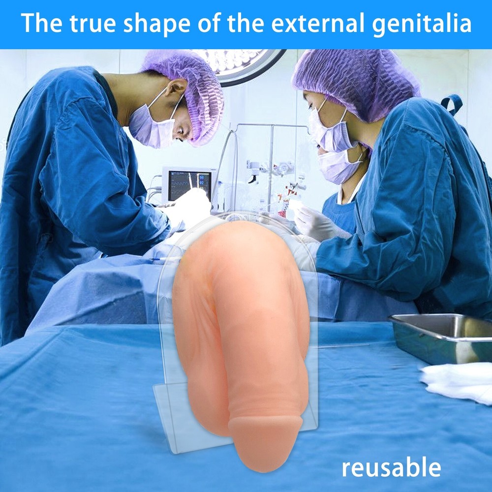 Urinary Catheterization Puncture Model Medical Operation Training Reusable Wide