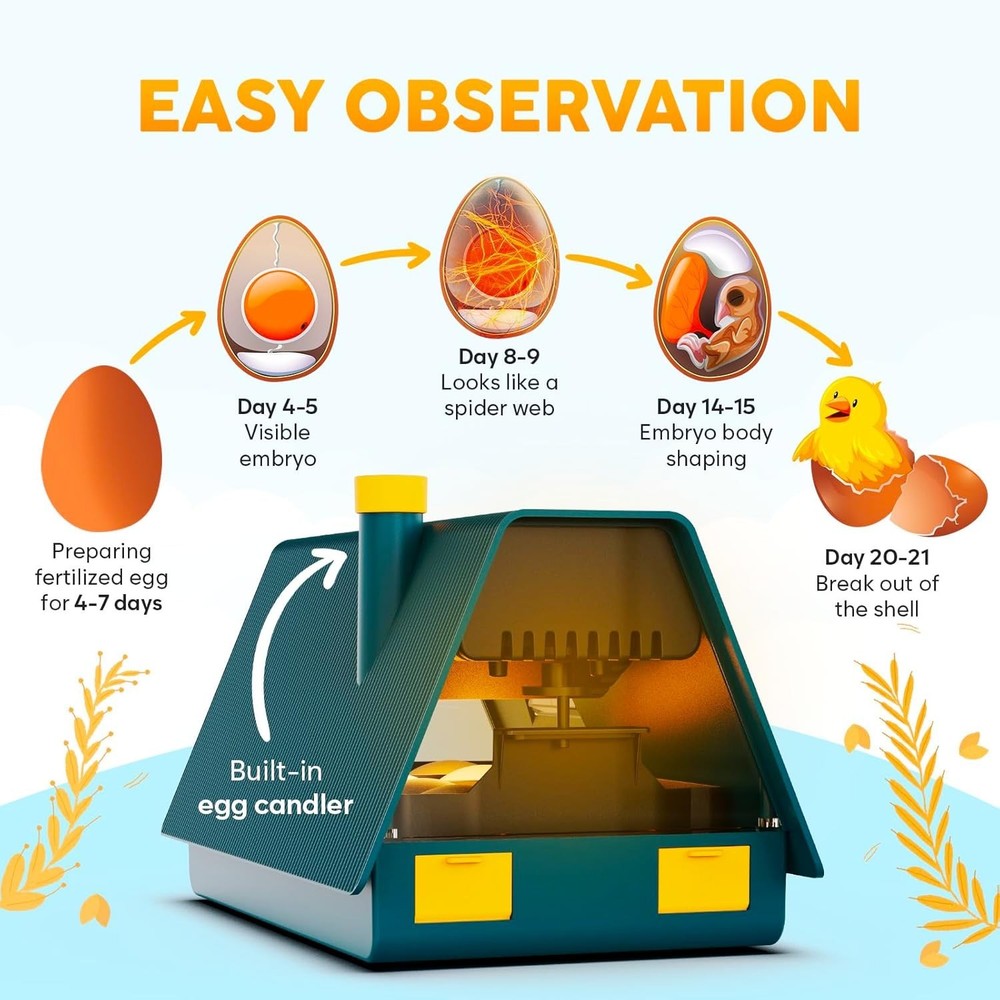 Okkobi M10 Egg Incubator - Automatic Turning & Humidity Control for 10 Eggs