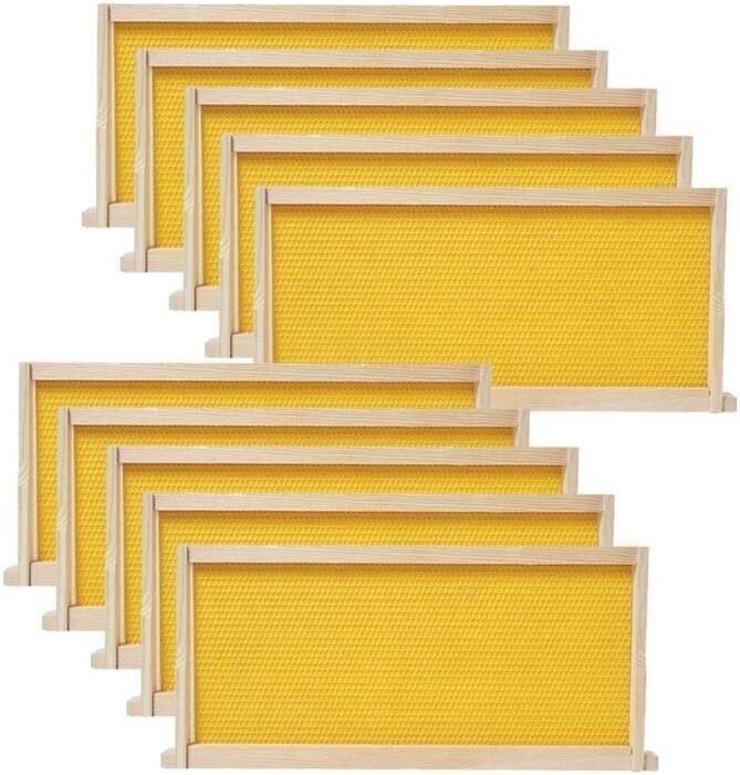 10 Pack Medium Beehive Frames and Wax Foundations Honey Bee Frames
