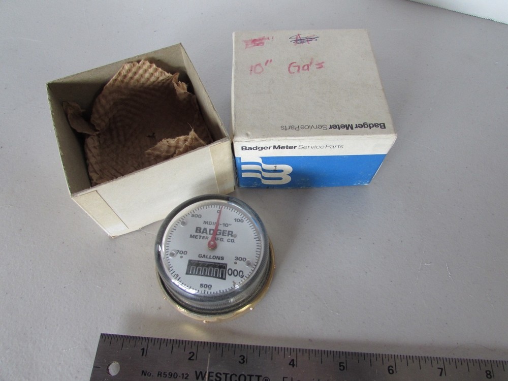 Badger MDIM-10” Meter