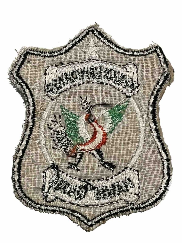 USSF PHOENIX OPS - CIA ASSASSINATION PROGRAM - VIETNAM WAR PATCH ICE