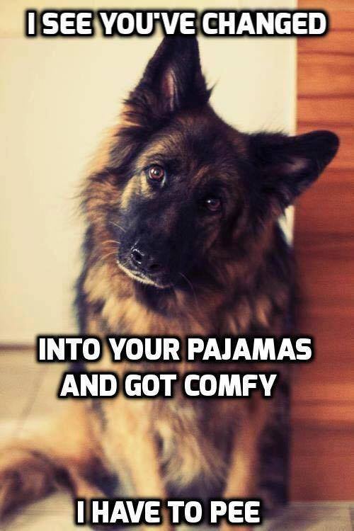German Shepherd refrigerator magnet 3 1/2 x 4 1/2
