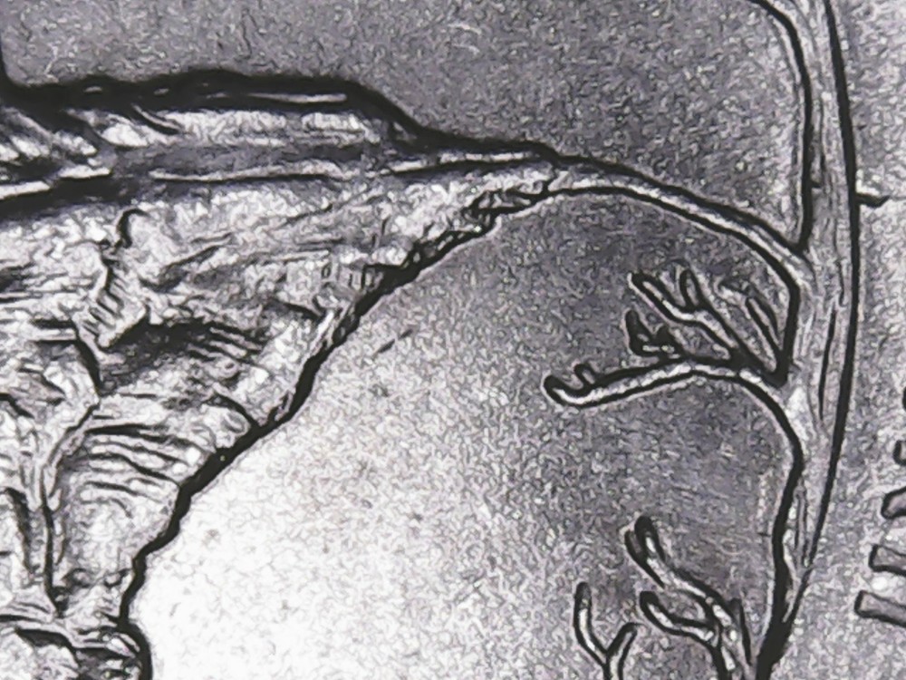 2018 p Pictured Rock ATB Quarter with Die Chips Mint Error.
