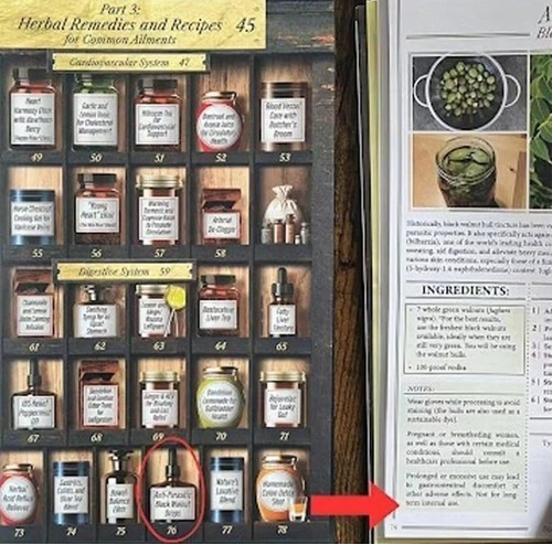 Forgotten&Hom- Apσthecary:250-Powerful Remedies By Nicole Apelian=PhD -A5 Size