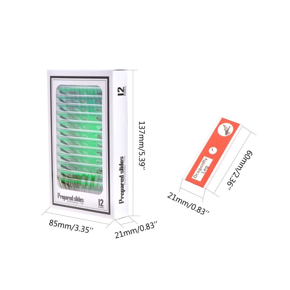 Experiment with 60 Prepared Microscope Slides - Perfect for Student Discovery