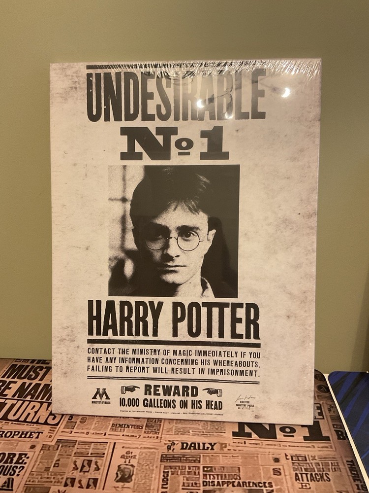 Harry Potter Print