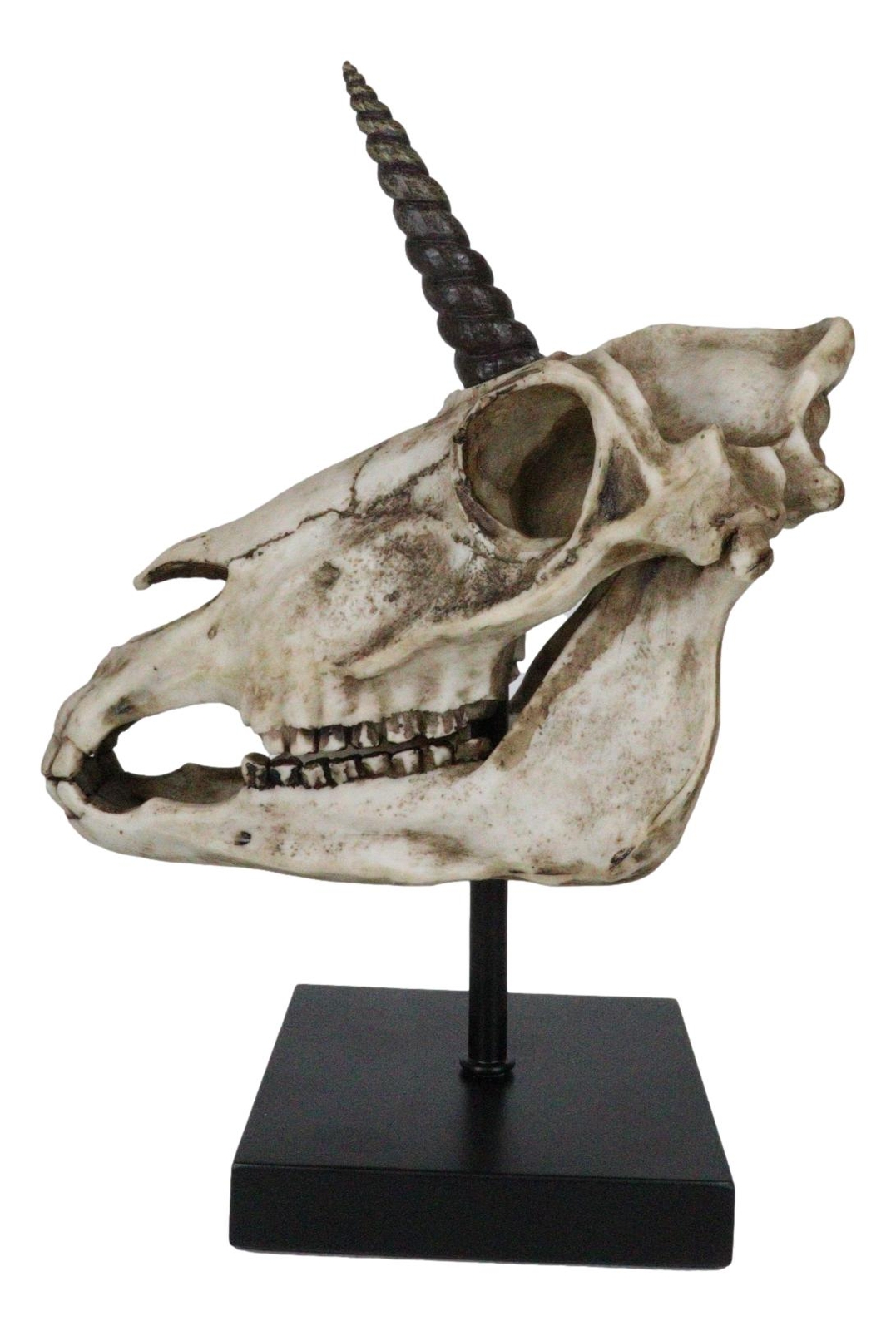 Rare Fossil Unicorn Skull With Sacred Horn Skull Figurine On Museum Pole Mount