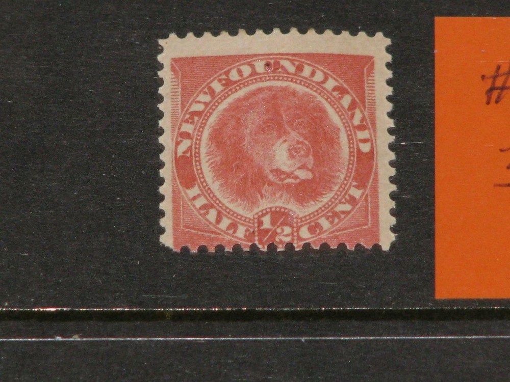 CANADA-NEWFOUNDLAND, SCOTT# 57, MINT HINGED , ITEMB