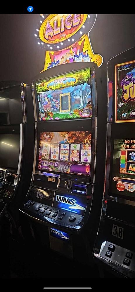 Williams Bluebird 2 Slot Machine Jungle Wild II
