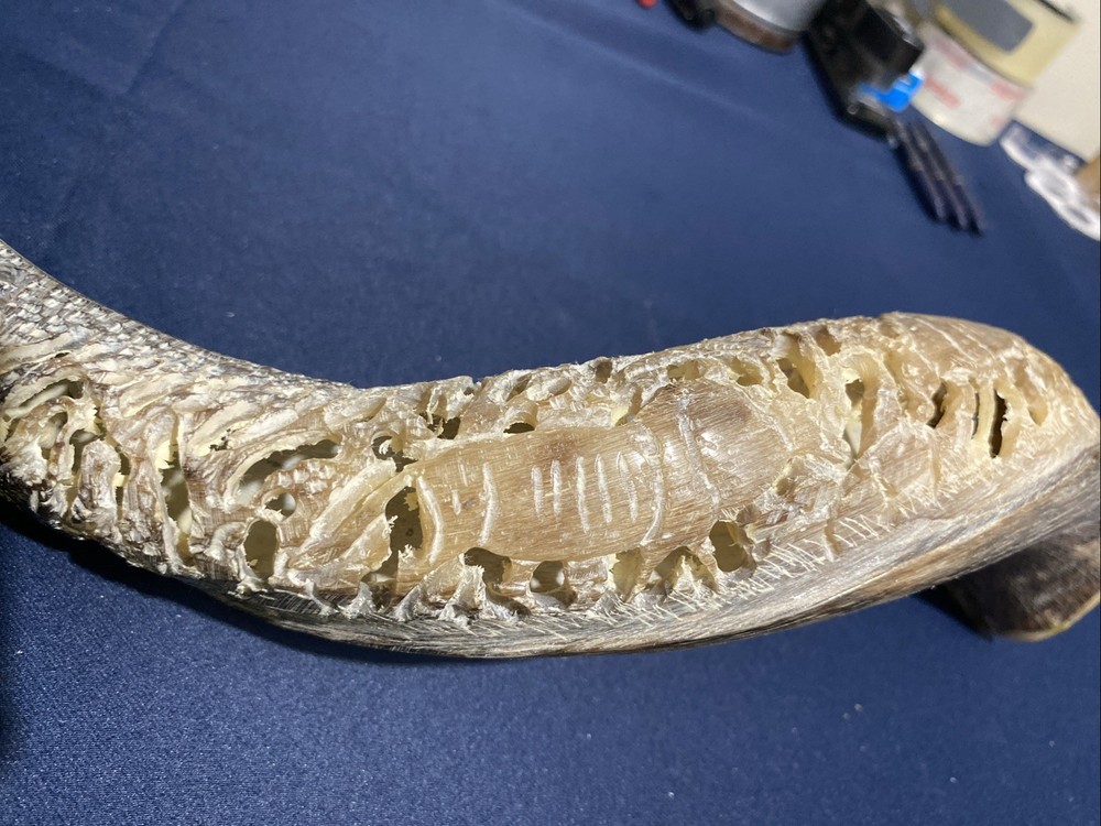 Hand Carved Horn