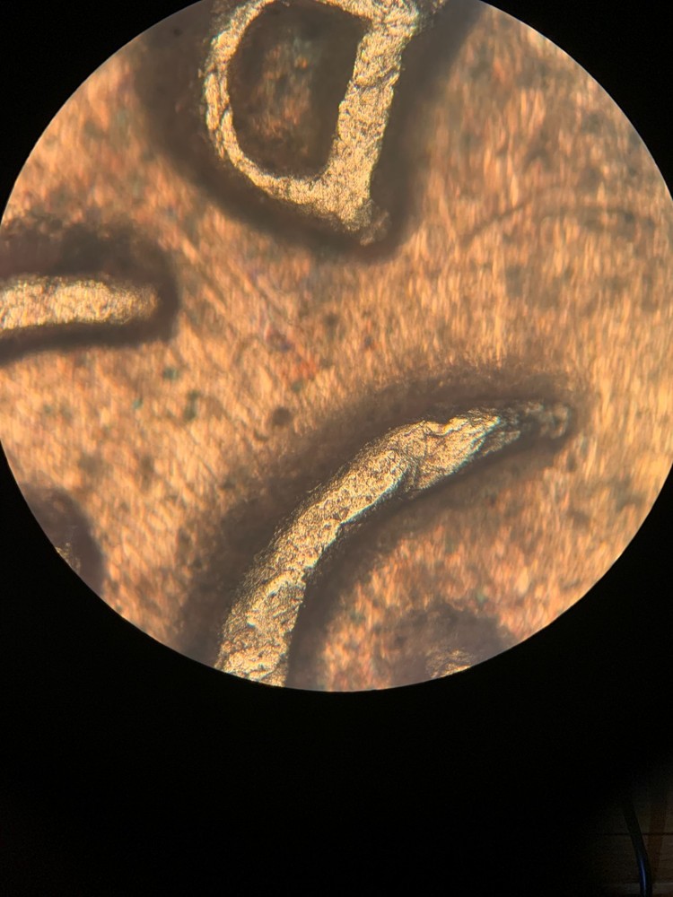 Olympus MF metallurgical microscope