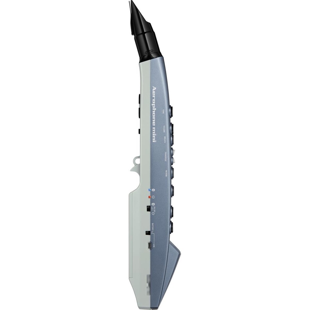 Roland Aerophone AE-01 Mini Digital Wind Instrument