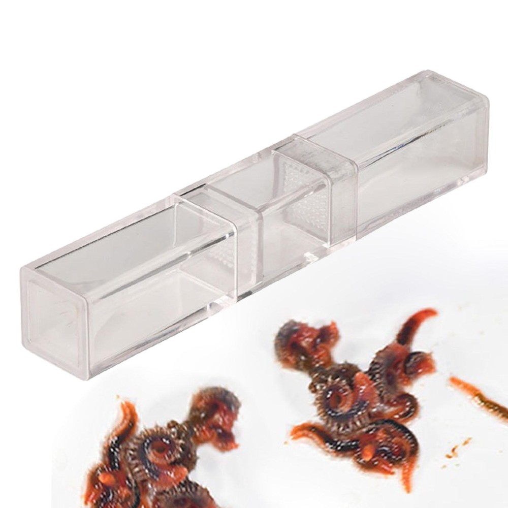 Leeches Catcher Planaria Trap Flatworm Trap