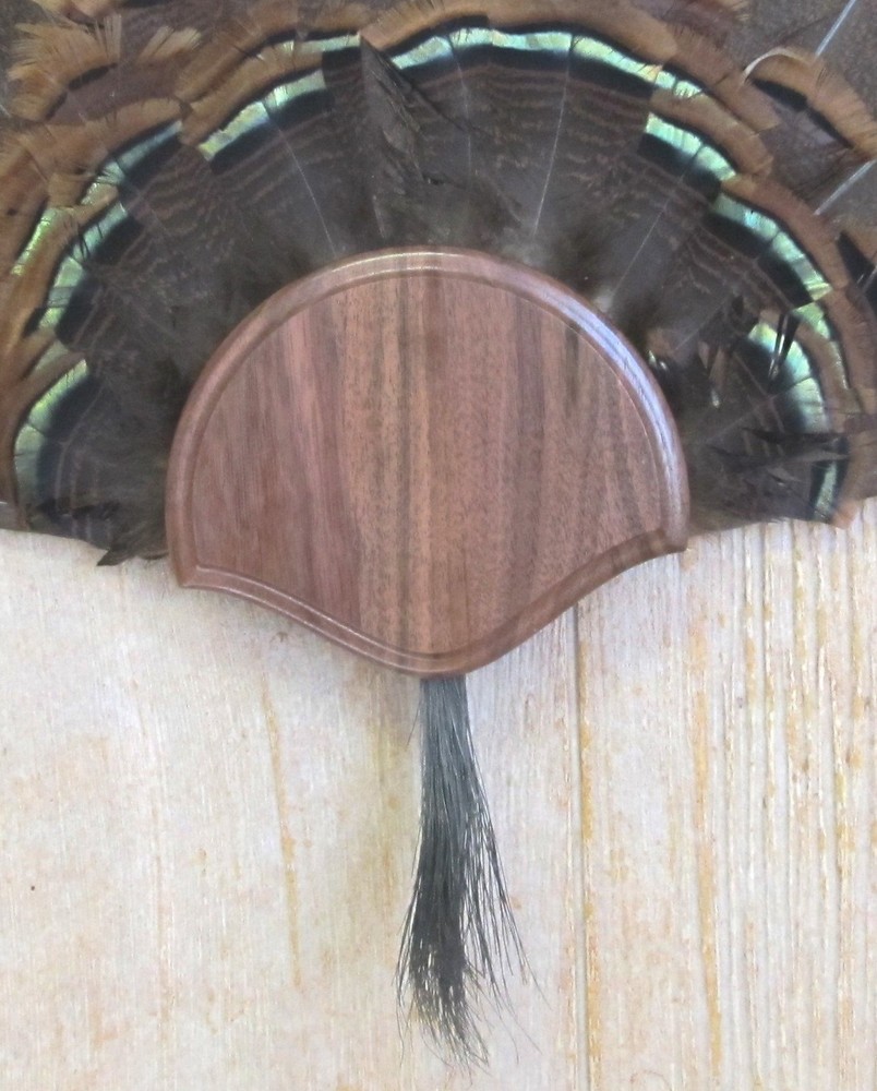 The Black Walnut Turkey Mounting Kit -01