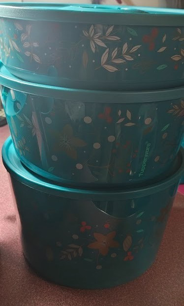 Tupperware SPRING Pitcher & LARGE SET 16 pieces Serving BOWLS PLATES & CUPS NEW!