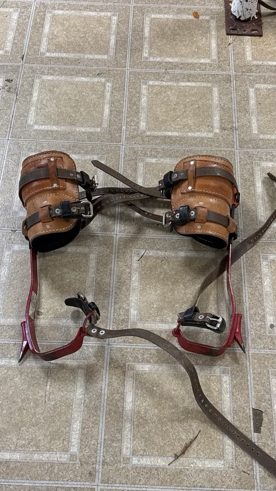 Bashlin Lineman climbing gear