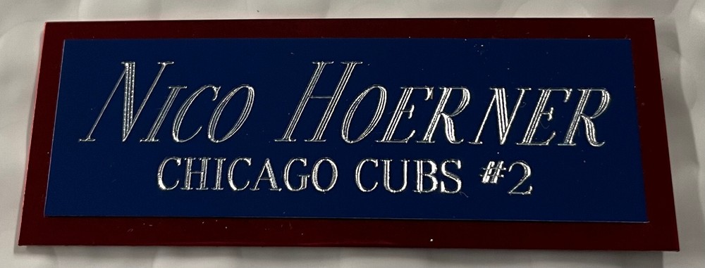 JUSTIN STEELE CUBS NAMEPLATE FOR AUTOGRAPHED Signed Baseball Display CUBE CASE