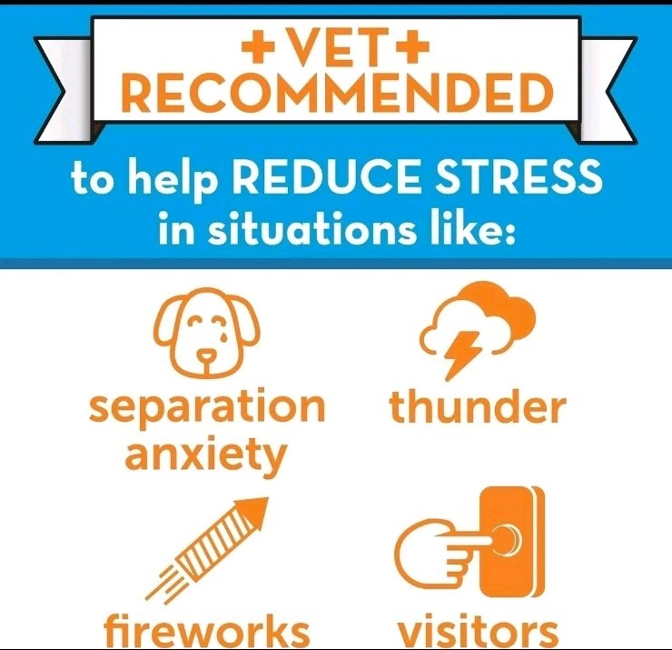 Dog Calming Pheromone Diffuser Refill | Powered by ADAPTIL | Vet Recommended