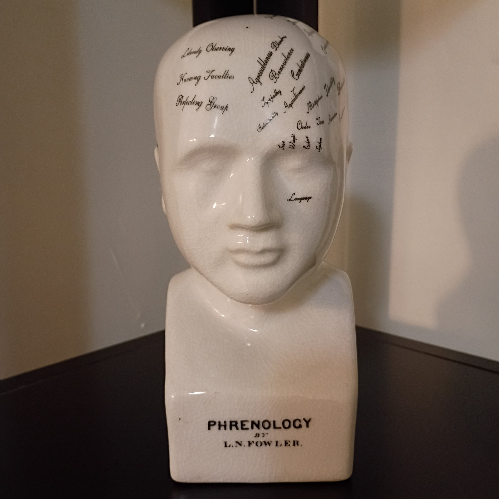 Porcelain L.N. Fowler Phrenology Scientific Psychology 8” Bust Head