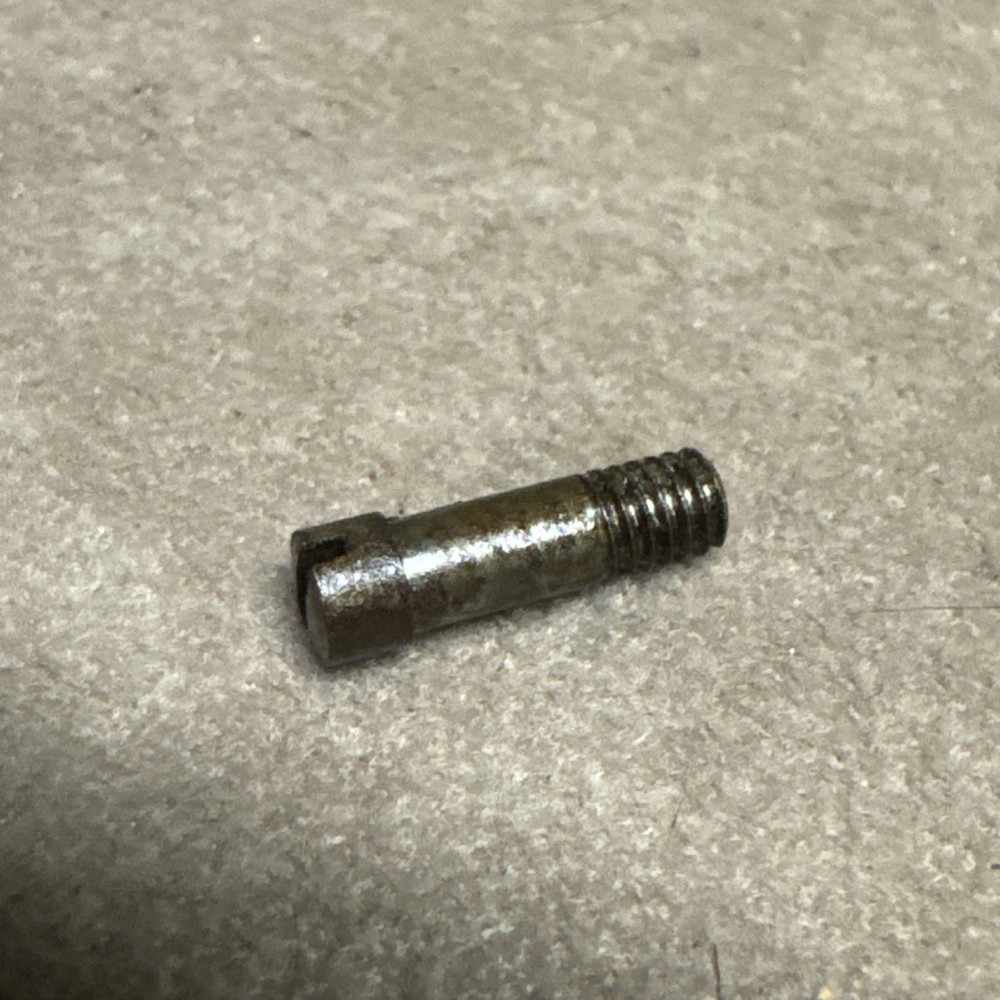 Davis Twigg Bridle Screw 655