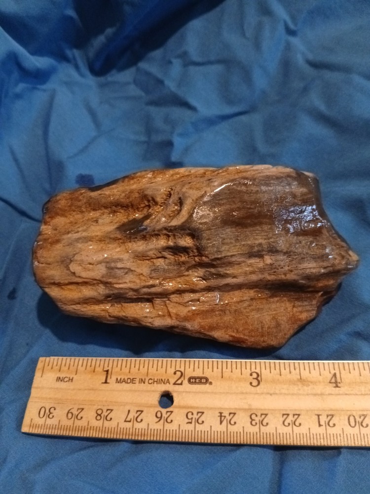 12 oz Red Gray Petrified Wood
