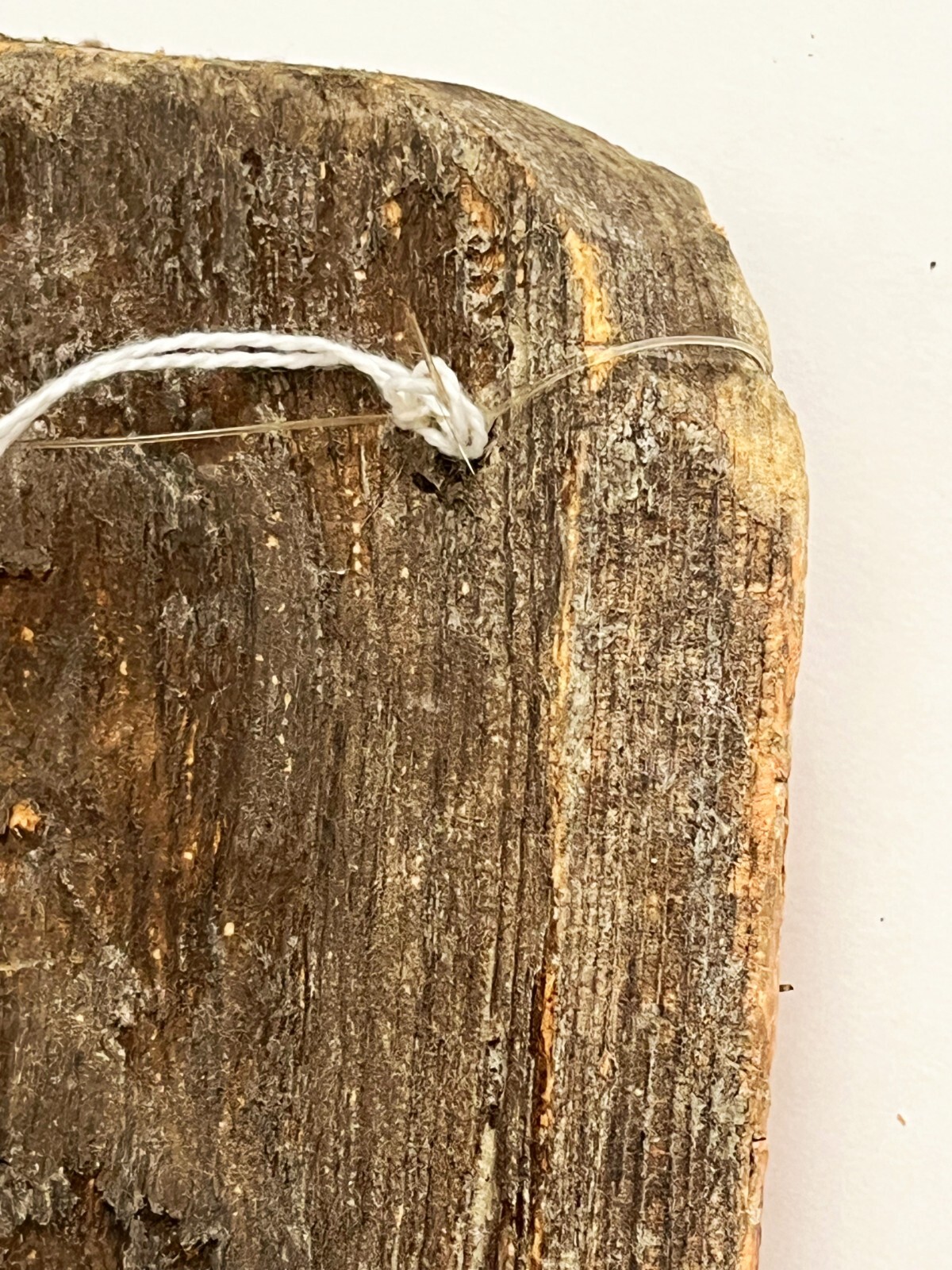 MEXICAN GUERRERO WOOD SHRIMP LOBSTER MASK DIA DE MUERTOS DAY OF DEAD CARNIVAL