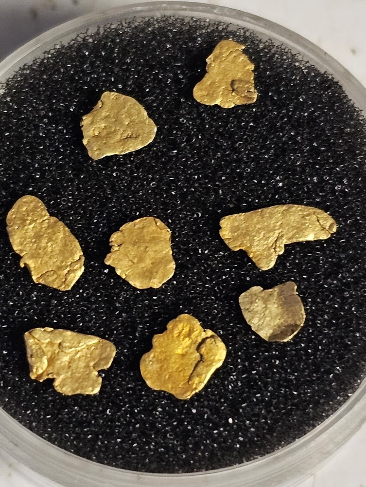 .384g Alaskan True Leaf Gold Nugget Batch