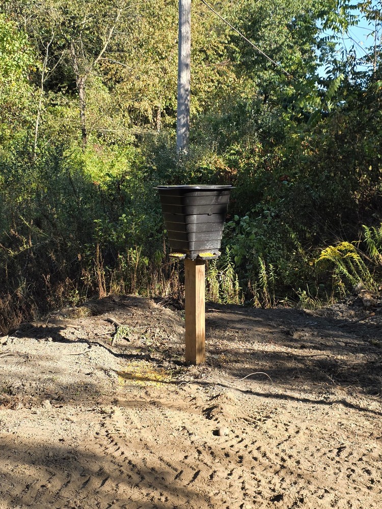 Corn deer feeder
