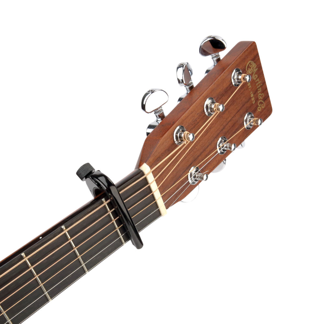 D'Addario Pro Capo, PW-CP-02