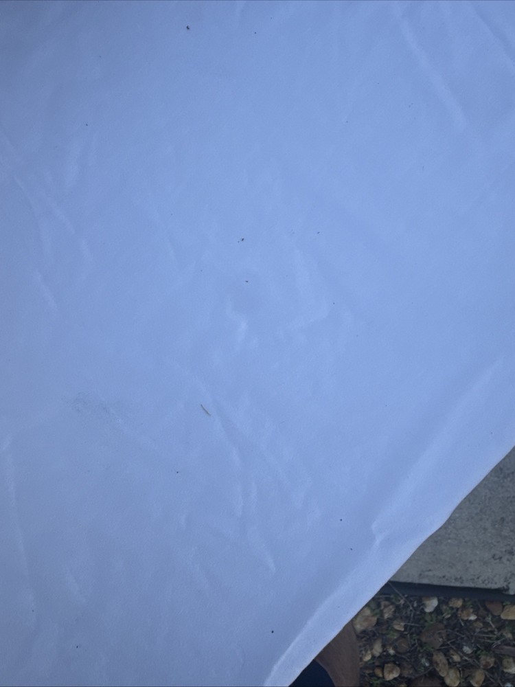 ANTIQUE PLATED SUGAR BOWL