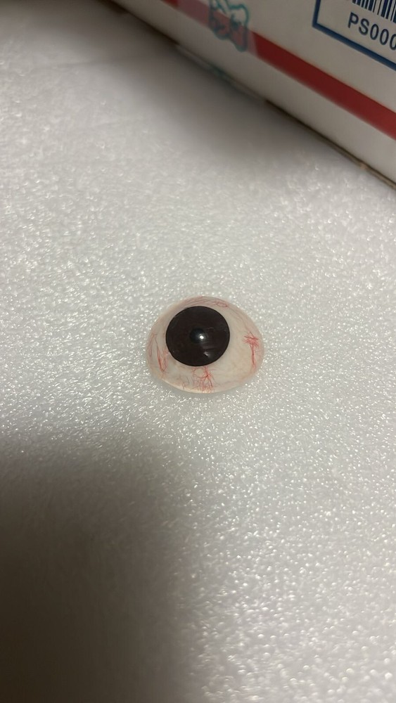 SciMed's Ocular Prostheses Artificial Human Prosthetic Eye & Sterilized Case
