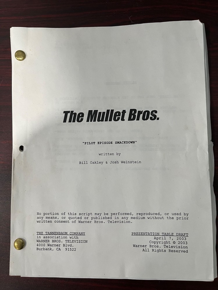 the mullets script pilot episode