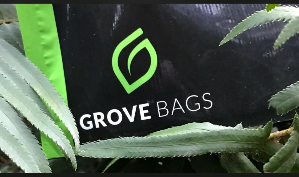 Grove Bags - TerpLoc Technology ~ Half Pound 1/2 Lb Bag - 8 Oz. ( pack of 5 )