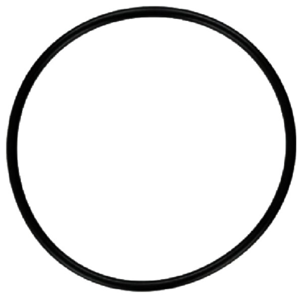 Pentair PacFab Dynamo Pool Pump Lid O-Ring O-231 Replacement For Part 354533