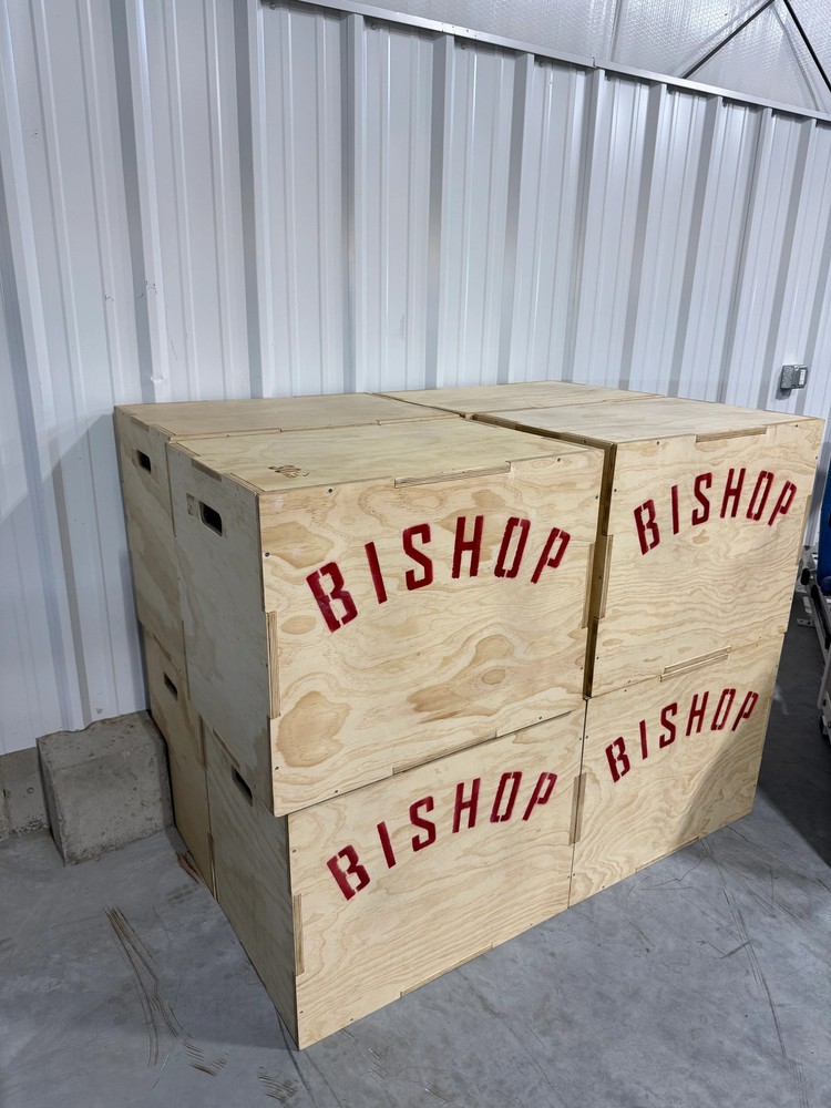 Multiple Sided Plyometric Boxes (Used once)