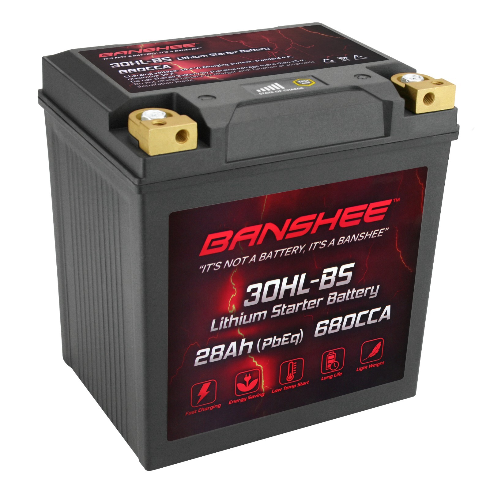 Premium YTX30L-BS Battery for Motorcycles