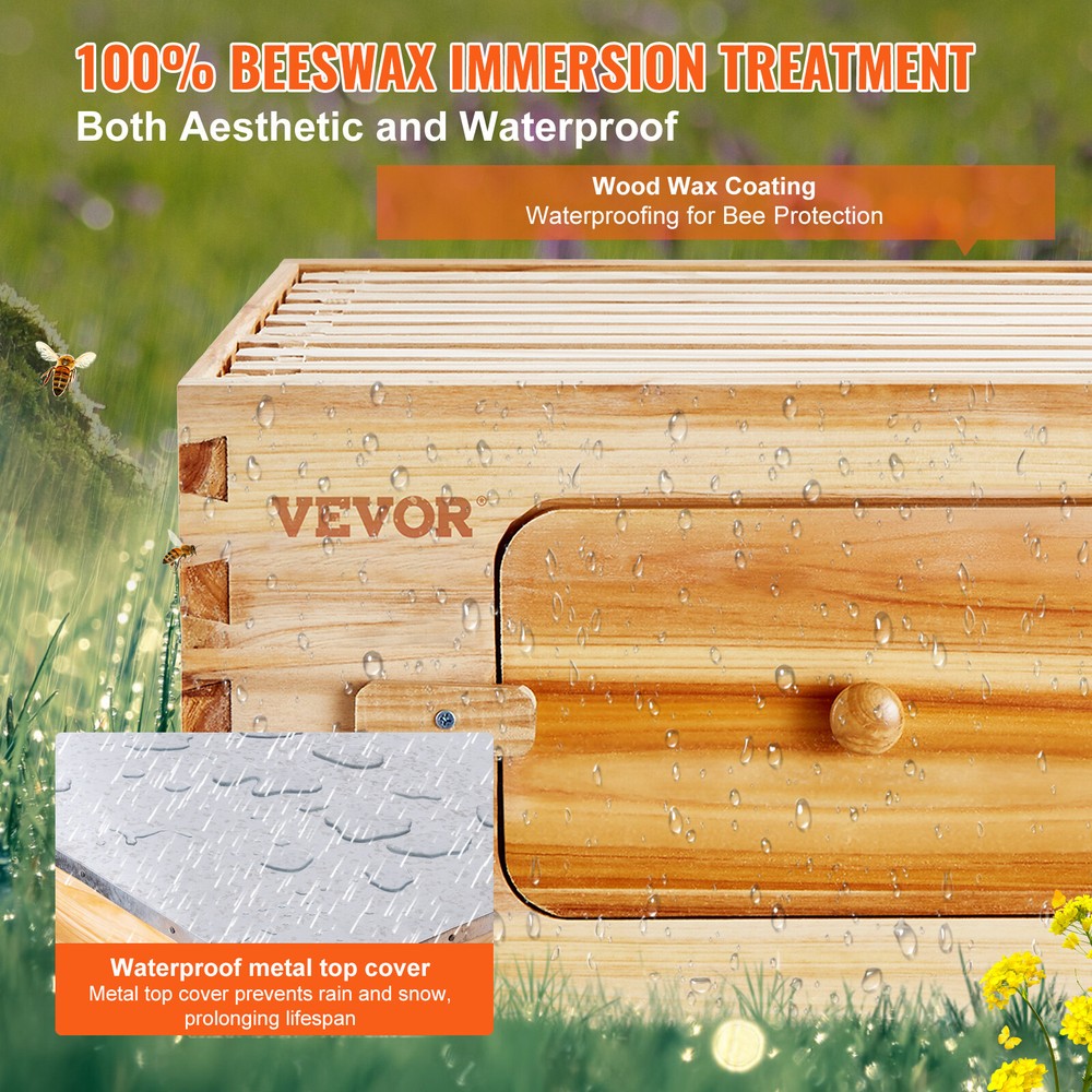 VEVOR Bee Hive Langstroth Kit 20 Deep & 10 Medium Frames with Acrylic Windows