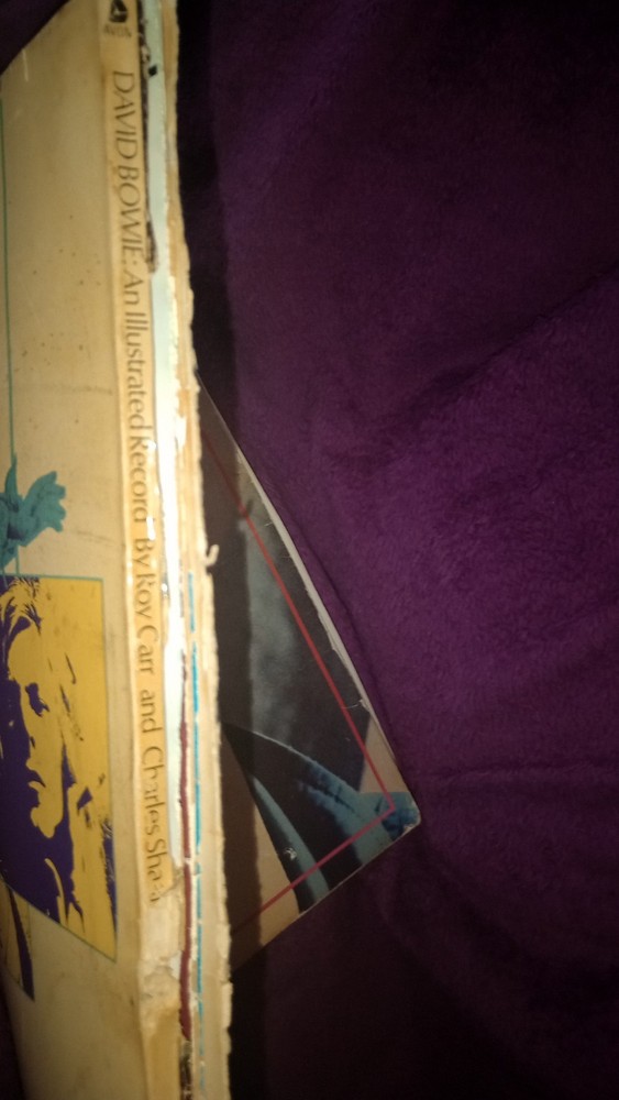 David Bowie Illustrated Book