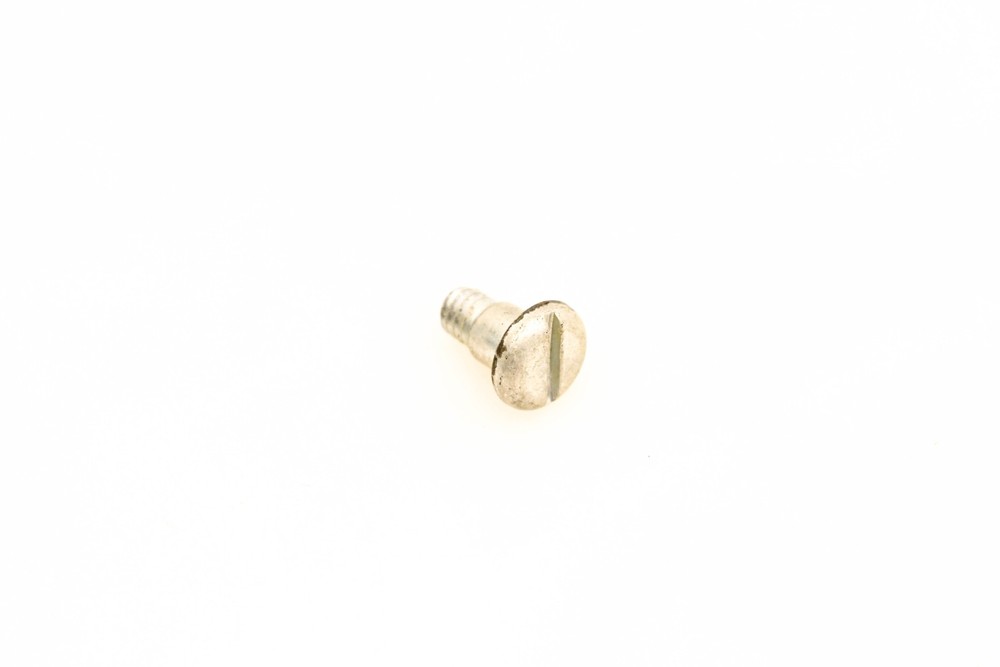 OMC 309887 Screw NOS