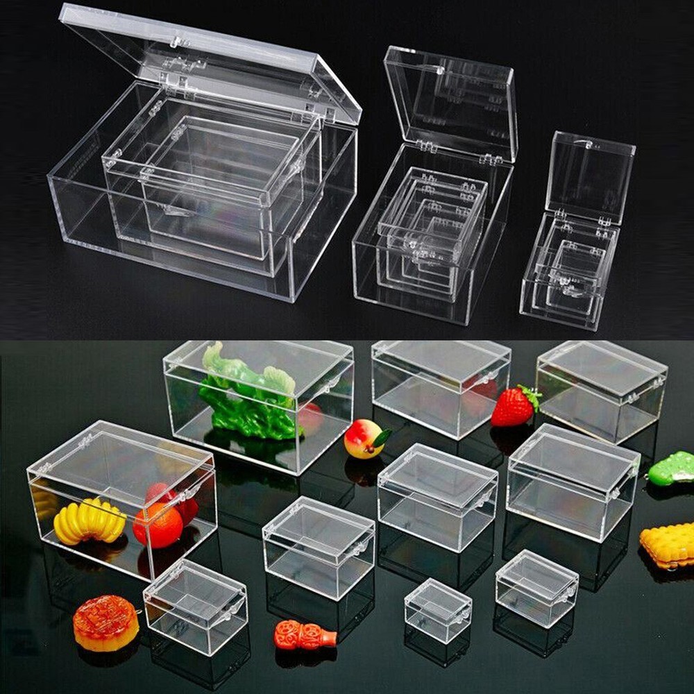 Versatile Plastic Box for Desktop Insect Specimen Collections and Storage