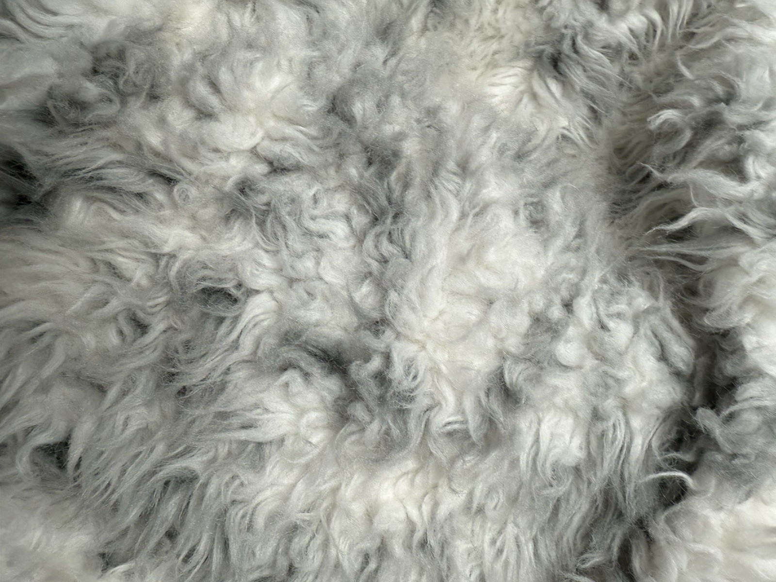 Pottery Barn Teen Harry Potter™ Hedwig Owl Bean Bag SlipCover Only Pre Own Read