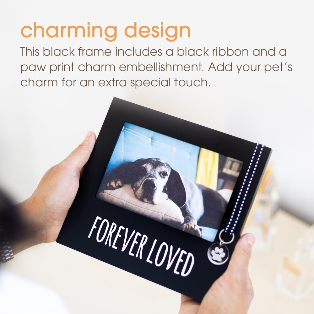 Pearhead Forever Loved pet Memorial Collar Frame, Frame