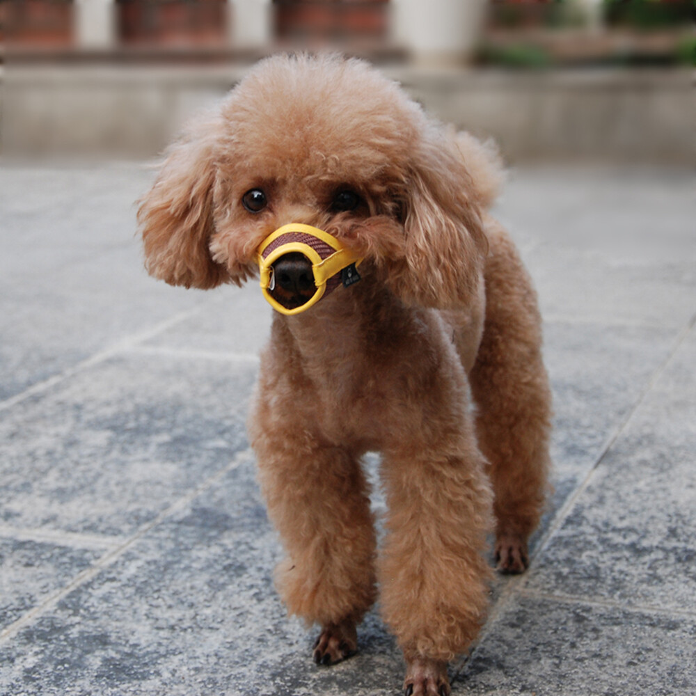 For Small Puppy Dog Muzzle Medium Large Leatherette Nylon Mesh Muzzle Pet Muzzle