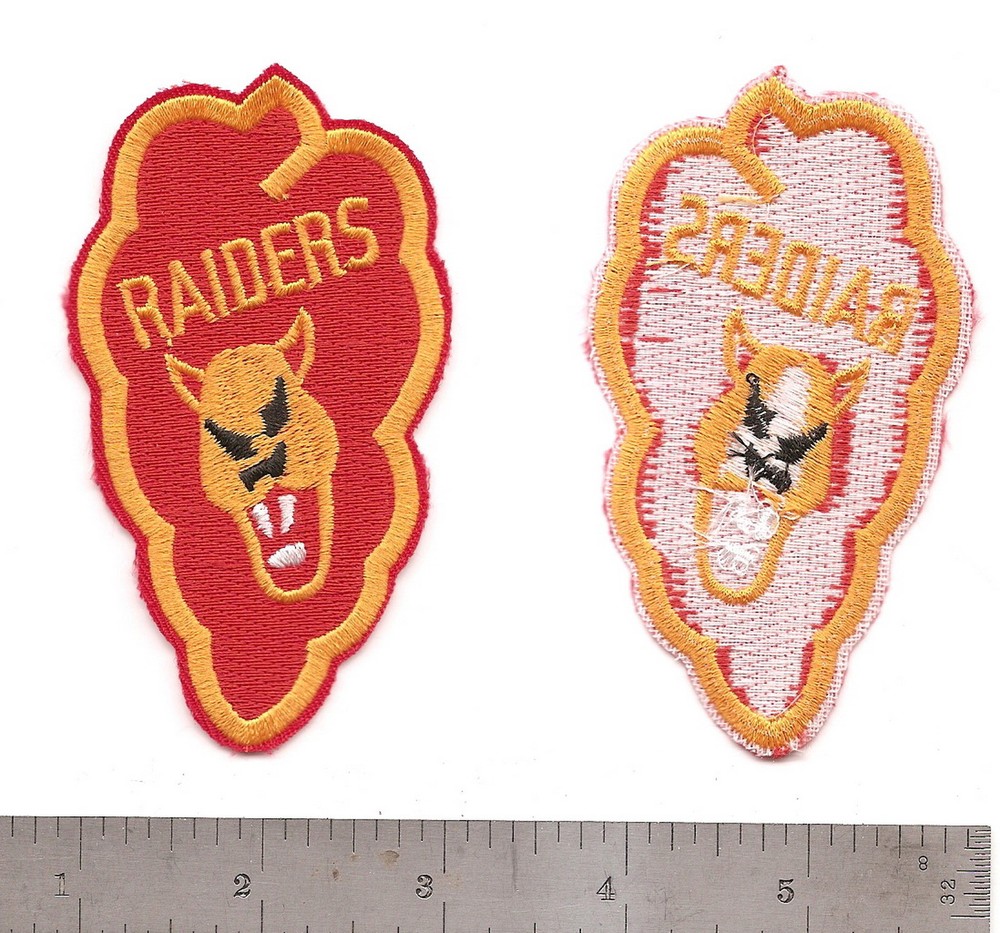 #357 US ARMY 25TH DIVISION RAIDERS PATCH