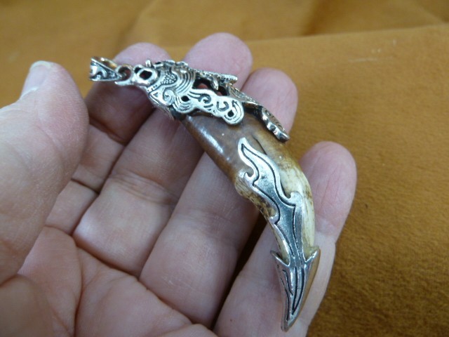 AK-TOOTH-102 Fossil 1000 yrs old Wolf tooth 2-1/2" silver filigree flame pendant