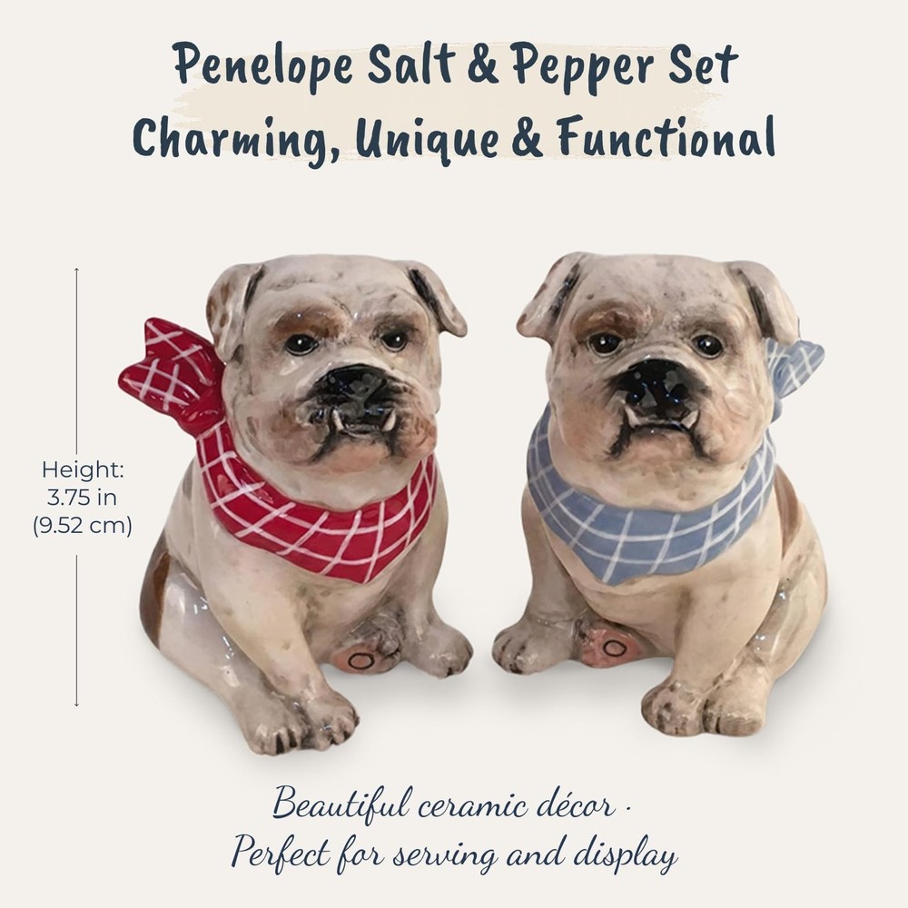 Blue Sky Ceramics Penelope Salt & Pepper Set, Multi