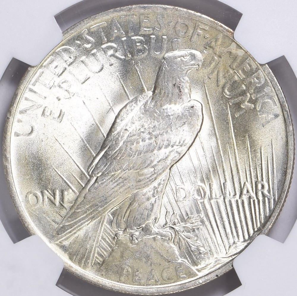 1923 Peace Dollar MS-66+ NGC VIDEO