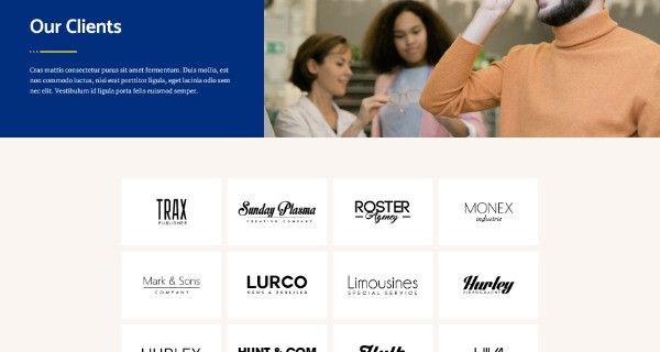 Premium Wordpress Elementor Template Kit Bundle | Finance & Law Firm theme